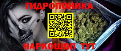 спайс Кимры