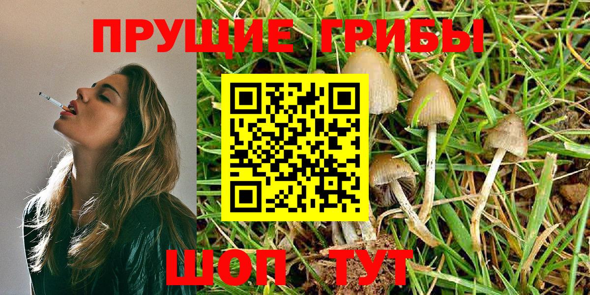 Домодедово  Псилоцибиновые грибы мухоморы  Вход с VPN 
