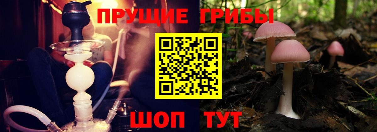 Галлюциногенные грибы Magic Shrooms Домодедово